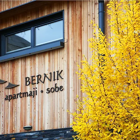 And Bernik 3* Kranjska Gora
