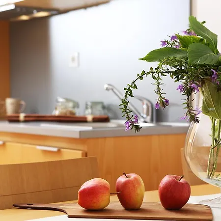 Guest house And Bernik